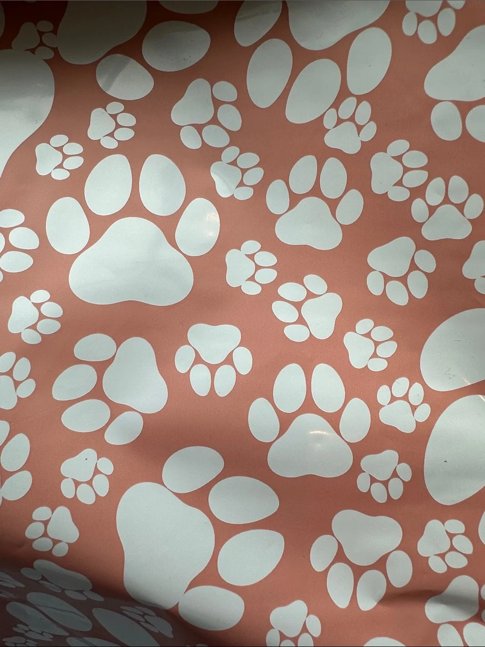 Paw Print Shipping Bags 14x17 Poly Mailers 20 Count